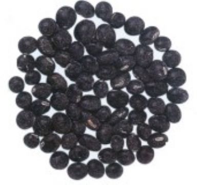 Black Soybean Hull Extract (Black Bean Peel Extract)